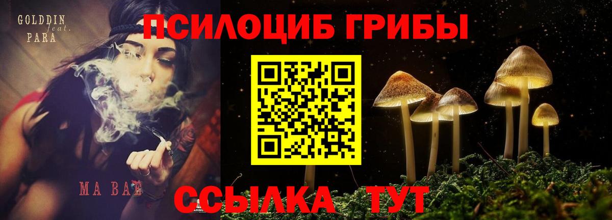 купить  сайты  Галлюциногенные грибы мухоморы  Вход с VPN  Владикавказ 